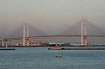 Dcim0773/DSC_5584