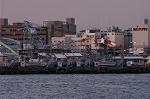 Dcim0773/DSC_5632