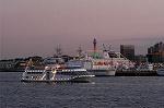 Dcim0773/DSC_5637