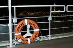 Dcim0774/DSC_5810