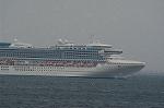 Dcim0775/DSC_5942