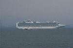 Dcim0776/DSC_5973