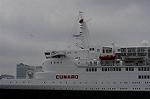 Dcim0778/DSC_6196