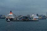 Dcim0780/DSC_6484