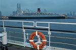 Dcim0780/DSC_6509