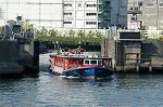 Dcim0807/DSC_9232