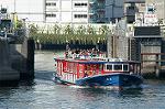Dcim0807/DSC_9233