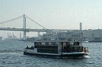 Dcim0807/DSC_9240