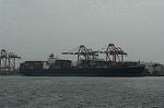 Dcim0810/DSC_9486