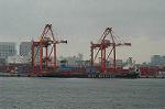 Dcim0810/DSC_9488