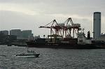 Dcim0810/DSC_9527
