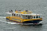 Dcim0810/DSC_9561