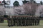 Dcim0821/DSC_0562