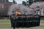 Dcim0821/DSC_0564