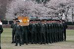 Dcim0821/DSC_0565