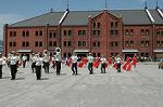Dcim0826/DSC_1336