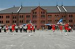 Dcim0827/DSC_1408