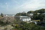 Dcim0829/DSC_1670