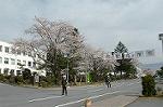 Dcim0832/DSC_1980