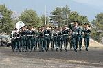Dcim0833/DSC_2118