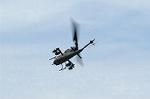 Dcim0834/DSC_2332