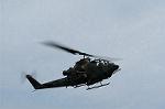 Dcim0836/DSC_2543