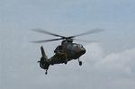 Dcim0836/DSC_2549