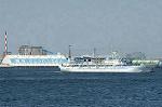 Dcim0850/DSC_4117