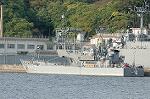 Dcim0854/DSC_0315
