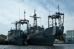 Dcim0855/DSC_4287