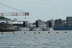 Dcim0855/DSC_4352