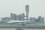 Dcim0857/DSC_0424