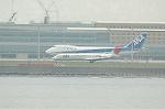 Dcim0857/DSC_0441