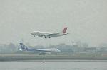 Dcim0857/DSC_0451