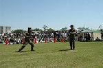 Dcim0863/DSC_4662