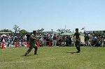 Dcim0863/DSC_4665