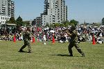 Dcim0863/DSC_4677