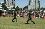Dcim0863/DSC_4680
