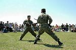 Dcim0865/DSC_0827