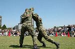 Dcim0865/DSC_0839
