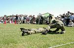 Dcim0865/DSC_0846