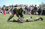 Dcim0865/DSC_0856