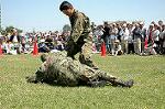 Dcim0865/DSC_0864