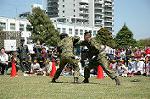 Dcim0865/DSC_0867