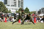 Dcim0865/DSC_0868
