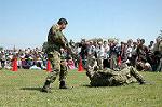 Dcim0865/DSC_0885