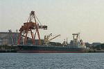 Dcim0867/DSC_1094