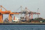 Dcim0867/DSC_1097