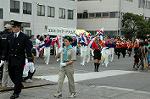 Dcim0871/DSC_1608