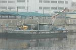 Dcim0873/DSC_1851